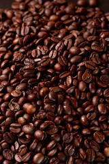 Fototapeta premium Grão de café coffee bean 