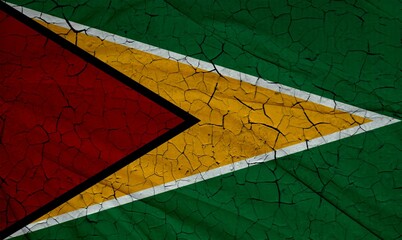 Close up Flag - Guyana