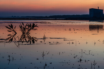 Sunset around the Albufera of Valencia (Spain)