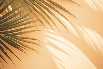 "Blurred Natural Palm Leaves Shadow Background on Bright Surface"

