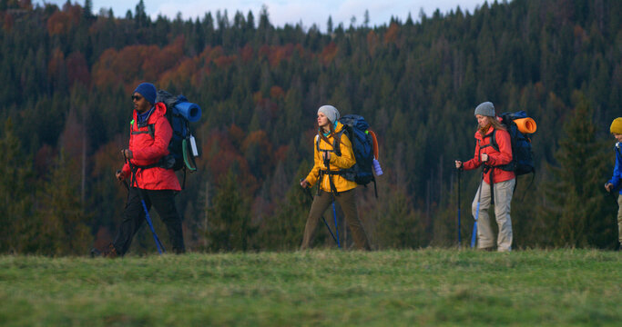 Full shot of diverse hiking buddies with trekking poles and backpacks going on trail in forest to camp. Group of tourists during trek or expedition to mountains. Nature discovery and tourism concept.