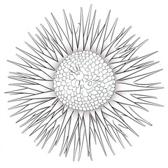 Coloring book for children depicting acrown of thorns starfish