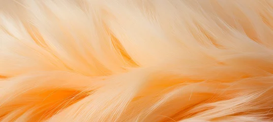 Foto op Plexiglas Trendy peach feather texture close up, abstract macro fluffy background, 2024 peach fuzz concept. © Ilja