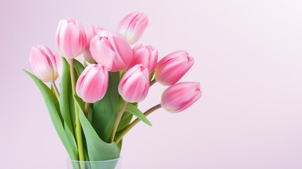 Obraz premium pink tulip bouquet on pink background