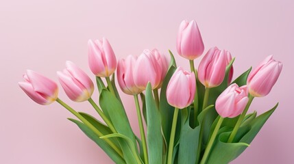 pink tulip bouquet on pink background