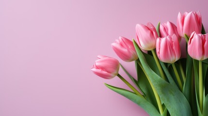 pink tulip bouquet on pink background