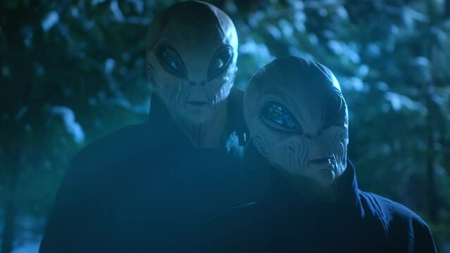 Couple of aliens in black coats standing in the woods under moonlight and looking at something after arrival on Earth at night