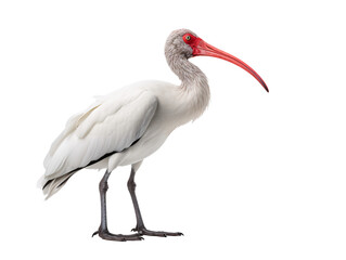 Obraz premium a ice cream cone with chocolate shavings