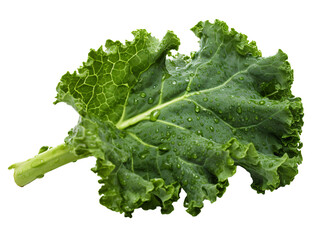 a leafy green leafy vegetable