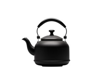 a silver tea kettle with black handle