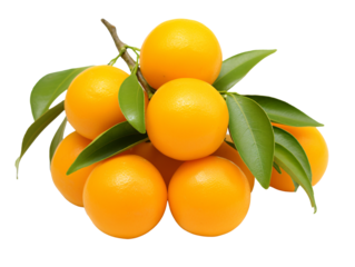 a bunch of yellow fruits with leaves