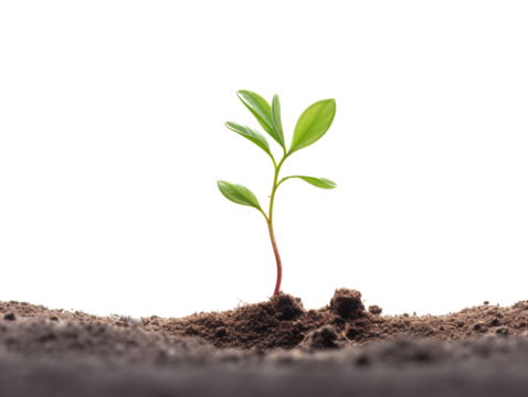 a white and gold ornament