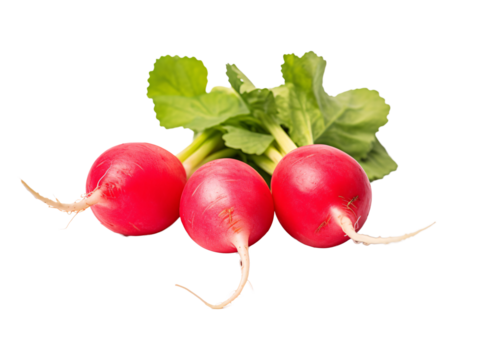 a pair of yellow rain boots