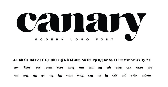 Bold Serif Font in Modern Style, this font can be used for a logo