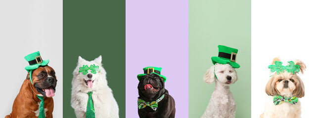 Collage of different dogs on color background. St. Patrick's Day celebration