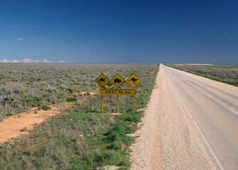  The Ayre highway crossing  the Nullarbor Plains in  South Australia with warning wildlife sign.