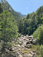Fototapeta na wymiar Der Tolla-Fluss im korsischen Hochgebirge bei Vizzavona, Korsika, Frankreich