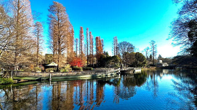 Scenic view of body of water with trees and a dock and a house on the other side