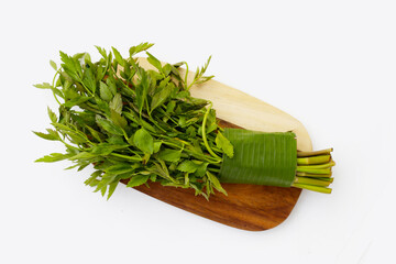 Green leaves of water dropwort plant