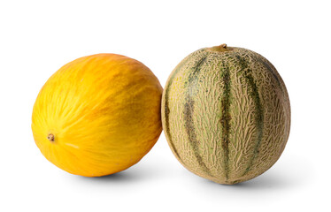 Different sweet melons on white background