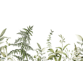 Watercolor floral border. Hand painted frame of forest greenery, wildflowers, herbs. Green leaves, branches, foliage isolated on white background. Botanical illustration for design, print, background