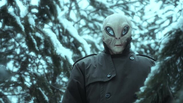 Alien coming out from behind snowy trees and looking at camera while hiding in the woods on winter day