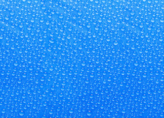 many small blue drops of water on a blue surface