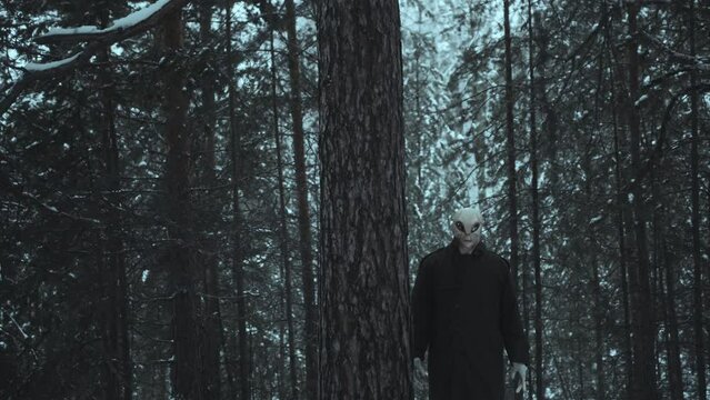 Alien standing behind the tree in pine forest on winter day, looking at camera and then making few steps straight ahead