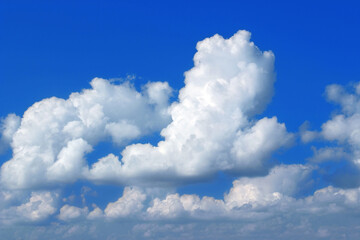 Naklejka na ściany i meble large white fair weather clouds, Cumulus humilis, in the blue sky