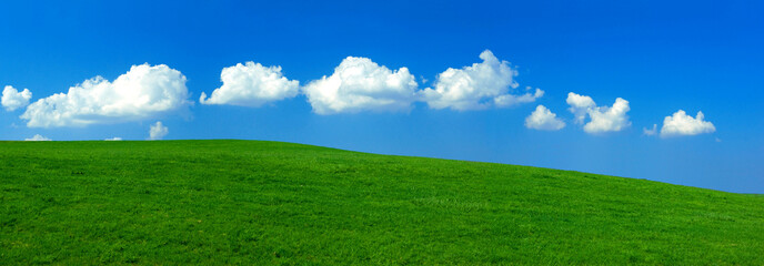 a row of white fair weather clouds, Cumulus humilis, in the blue sky above a green meadow, panorama