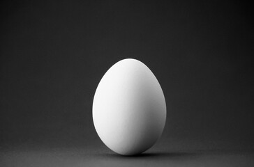 a white hen's egg in the studio, close-up