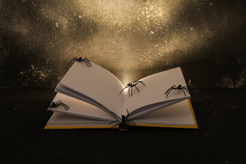 Open book with glowing light and spiders on dark background