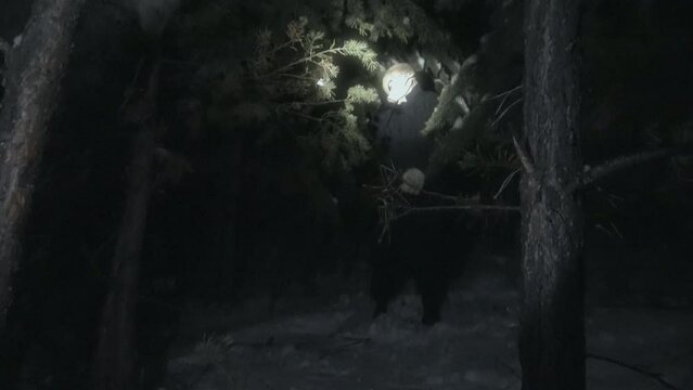 Terrified alien standing in dark forest at night, covering his face with hands and trying to hide from flashlight. Zoom-out, handheld camera shot