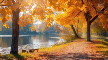 Autumn scene. Bright colorful landscape yellow trees in autumn park. Fall nature.