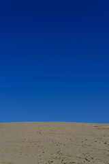 A close-up of the Pilat dune. The Pilat dune is the highest in Europe. La Teste-de-Buch, France - January 25, 2024.