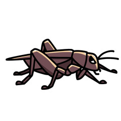 cool cricket transparent background vector illustration