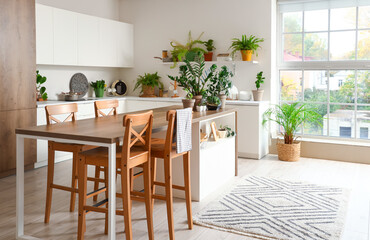 Fototapeta na wymiar Interior of kitchen with green plants, table and counters
