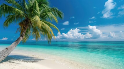Palm and tropical beach