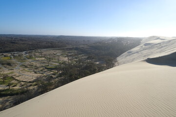 A view from the top of the Pilat dune with a burnt forest in the background. The Pilat dune is the...