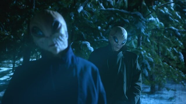 Alien couple standing in dark forest at night and looking at camera with heads tilted after arrival from outer space