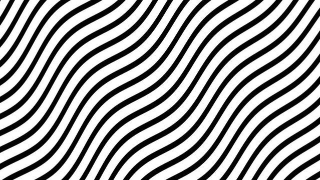 Animation of Black and white striped wavy pattern abstract background