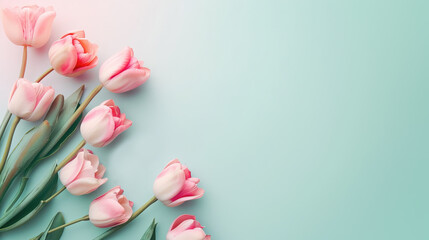 Banner for 8th march women's day with copy space, pastel colors. Fragile tulips on a light blue background with space for text. Horizontal floral background in pastel colors for greeting card.