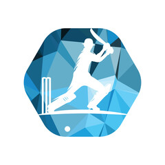 Cricket Player Logo Inside a Shape of Hexagon