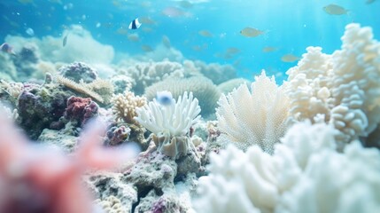 Closeup of a coral bleaching event, showcasing the devastating effects of pollution on marine life. - obrazy, fototapety, plakaty
