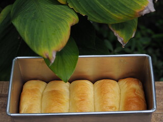 Durian bread looks sweet and fresh on the mold with a green leaf background taken from High Angel.