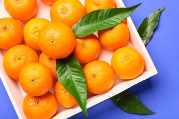 Wooden box with tasty tangerines and leaves on blue background