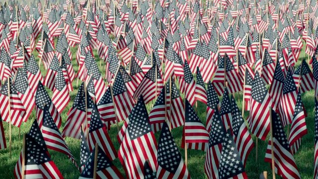 Thousands of American flags fluttering in the wind on anniversary of September 11.