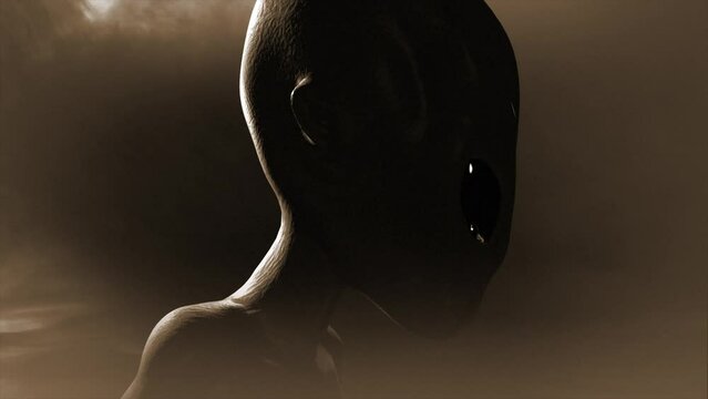 3D CGI  close-up right profile shot of a classic, shiny-skinned Roswell grey alien looking eeire and menacing, in an ominous swirling cloud of mist, with grey and sepia color tint