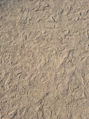 closeup of sand pattern of a beach in the summer