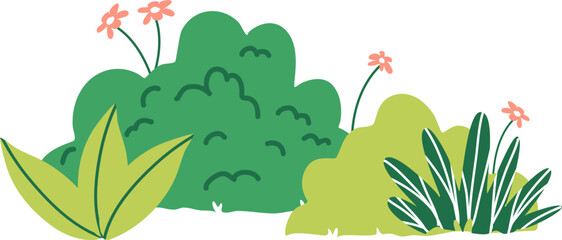 Green decorative bush and grass